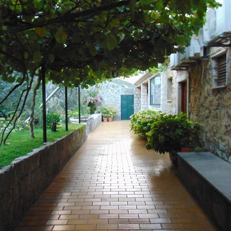 Villa Jelka Apartment Zaton  Exterior photo