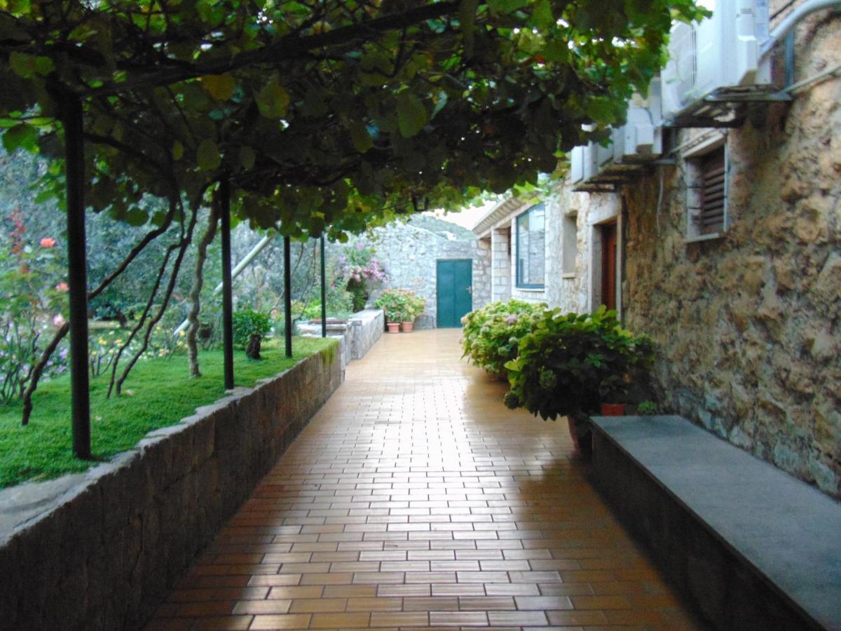 Villa Jelka Apartment Zaton  Exterior photo